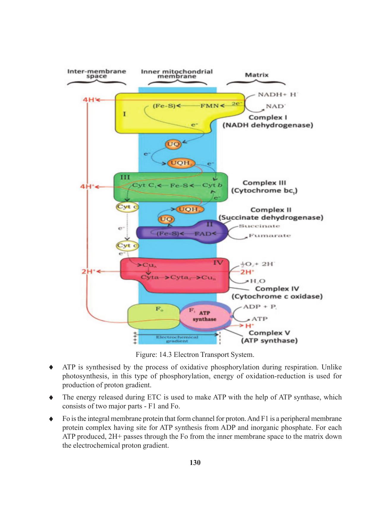 Tripura Board Class 11 Biology English Version Workbooks - Page 130