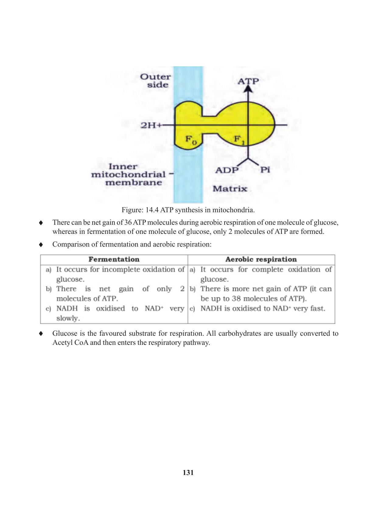 Tripura Board Class 11 Biology English Version Workbooks - Page 131