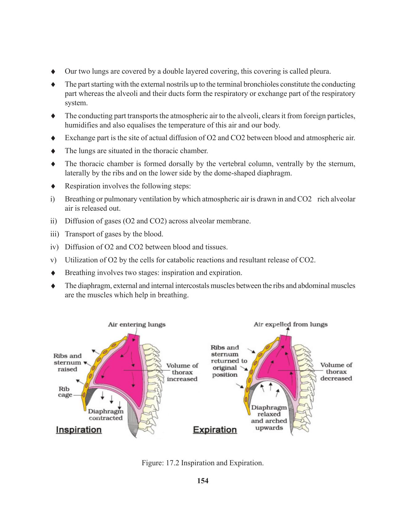 Tripura Board Class 11 Biology English Version Workbooks - Page 154