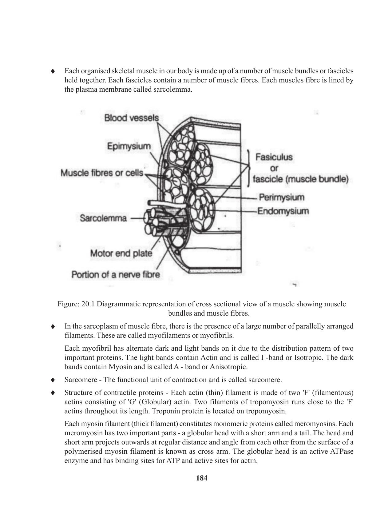 Tripura Board Class 11 Biology English Version Workbooks - Page 184