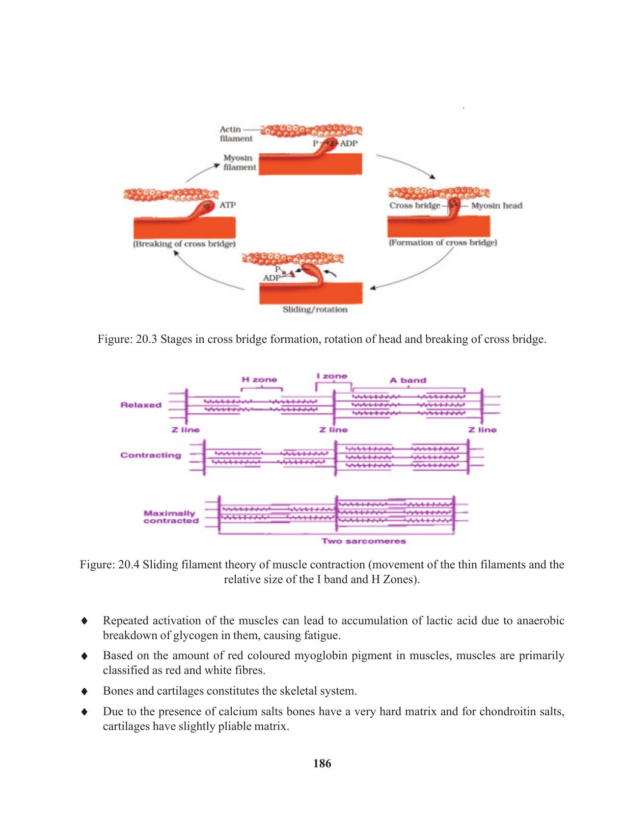 Tripura Board Class 11 Biology English Version Workbooks - Page 186