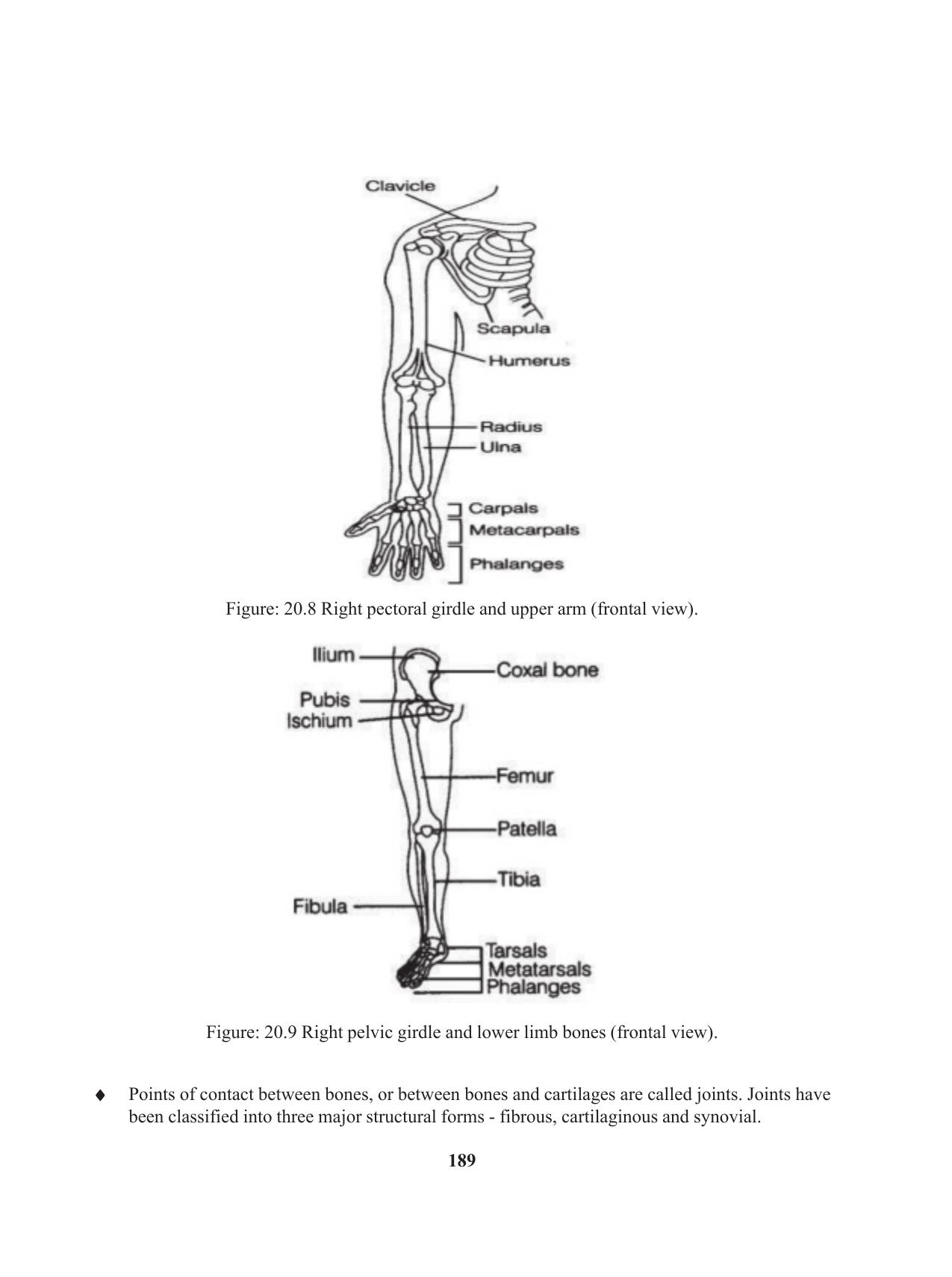 Tripura Board Class 11 Biology English Version Workbooks - Page 189