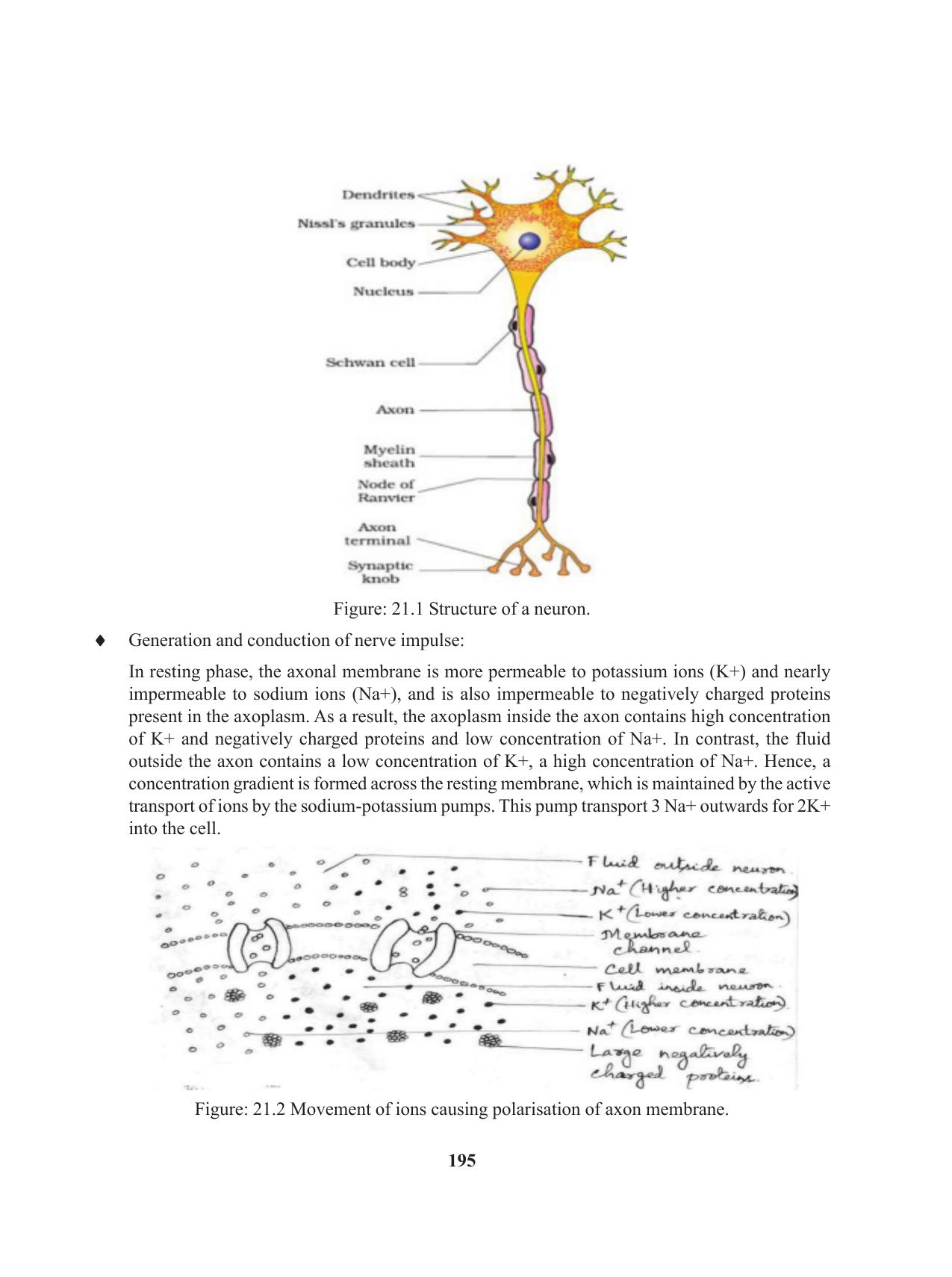 Tripura Board Class 11 Biology English Version Workbooks - Page 195