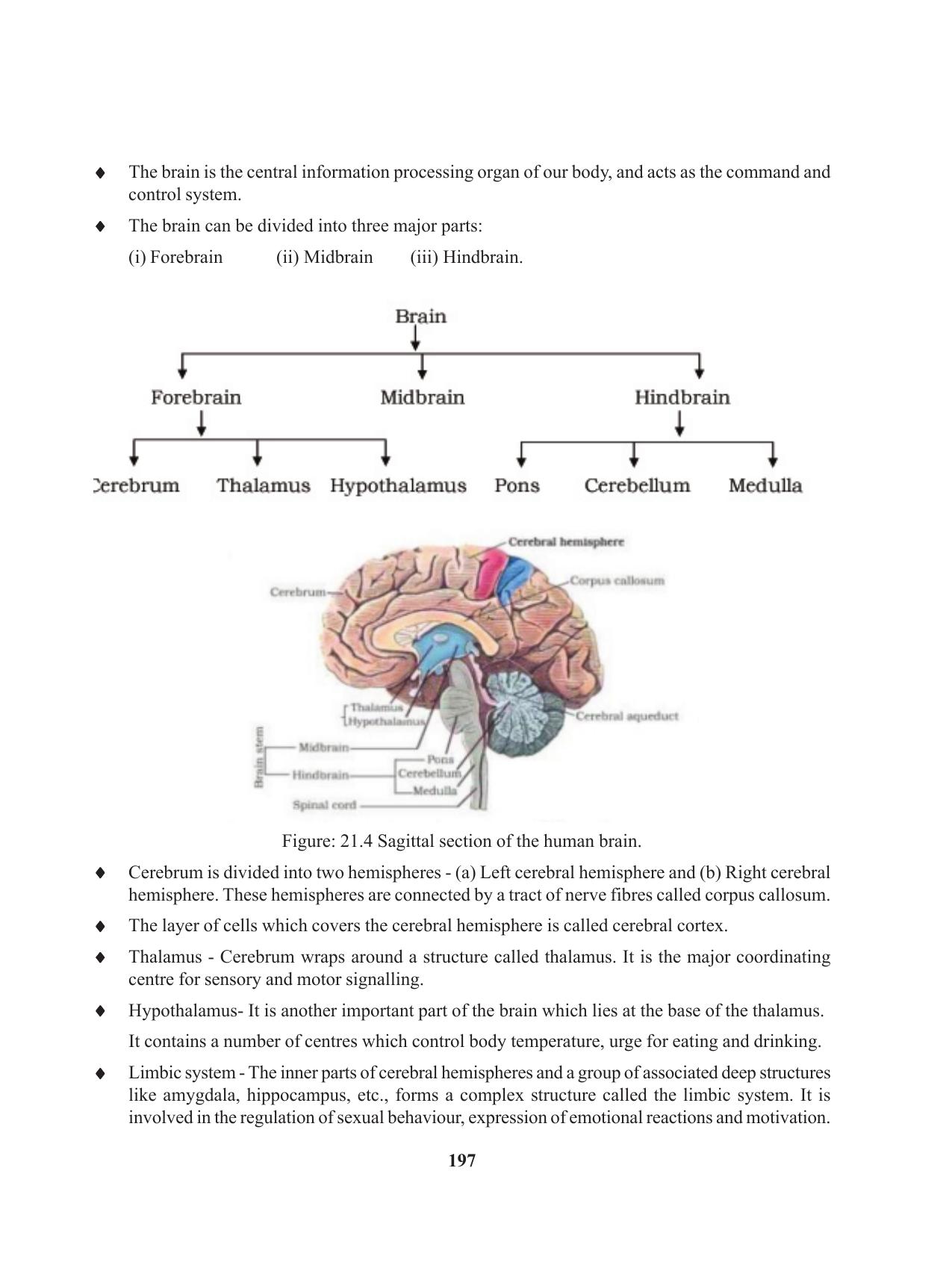 Tripura Board Class 11 Biology English Version Workbooks - Page 197