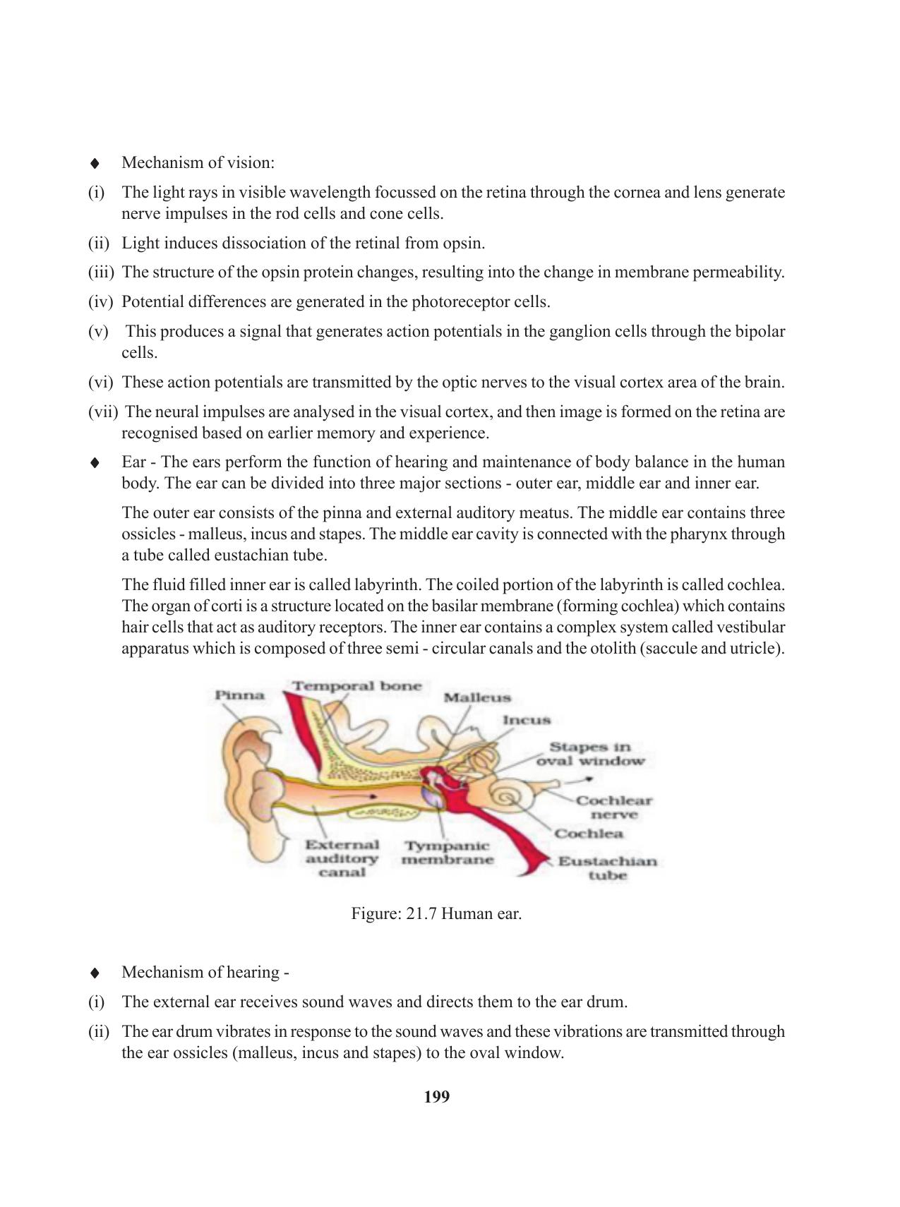 Tripura Board Class 11 Biology English Version Workbooks - Page 199