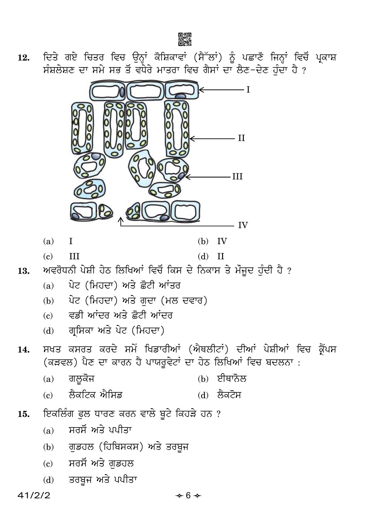 CBSE Class 10 41-2-2 Science Punjabi Version 2023 Question Paper - Page 6