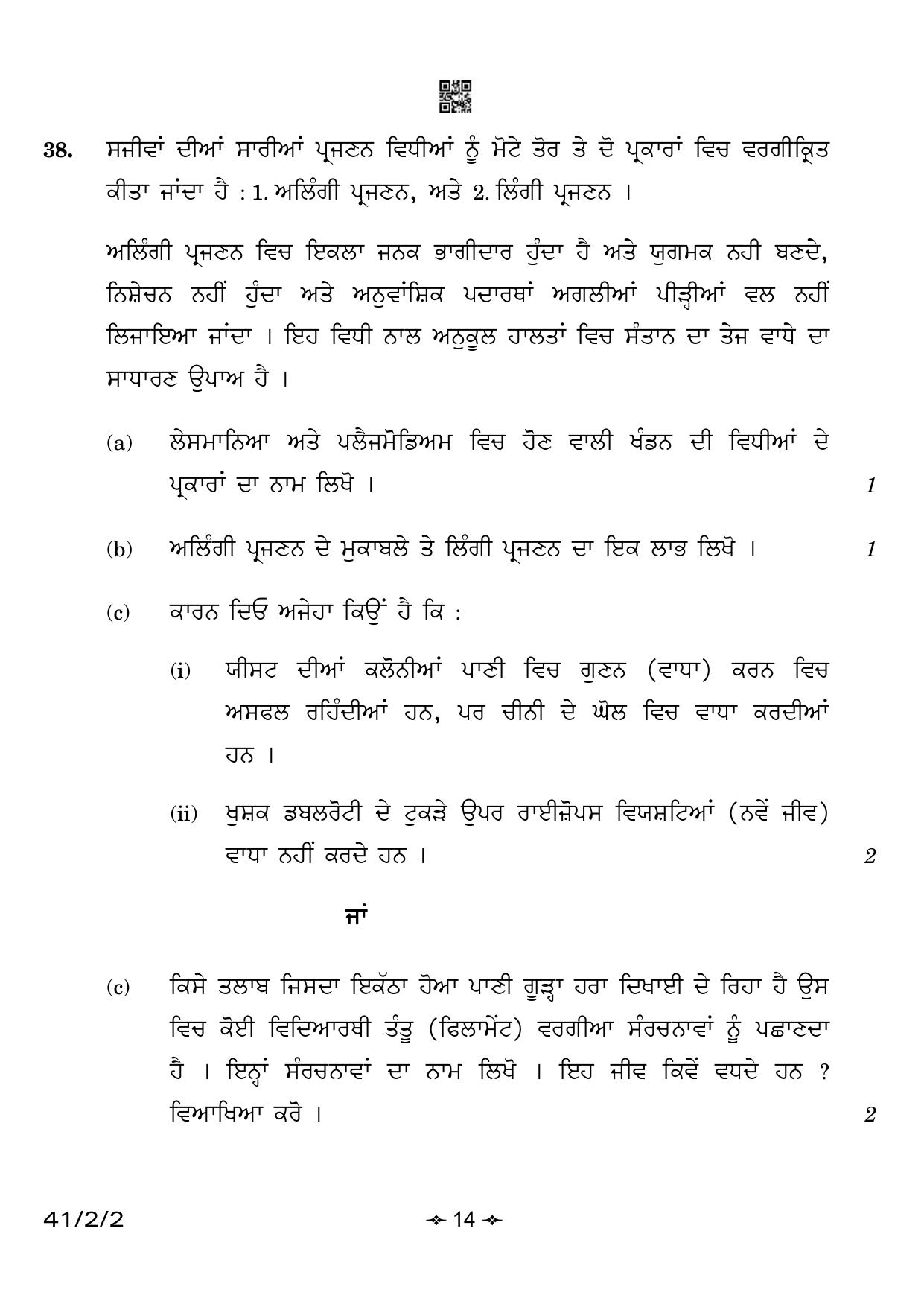 CBSE Class 10 41-2-2 Science Punjabi Version 2023 Question Paper - Page 14
