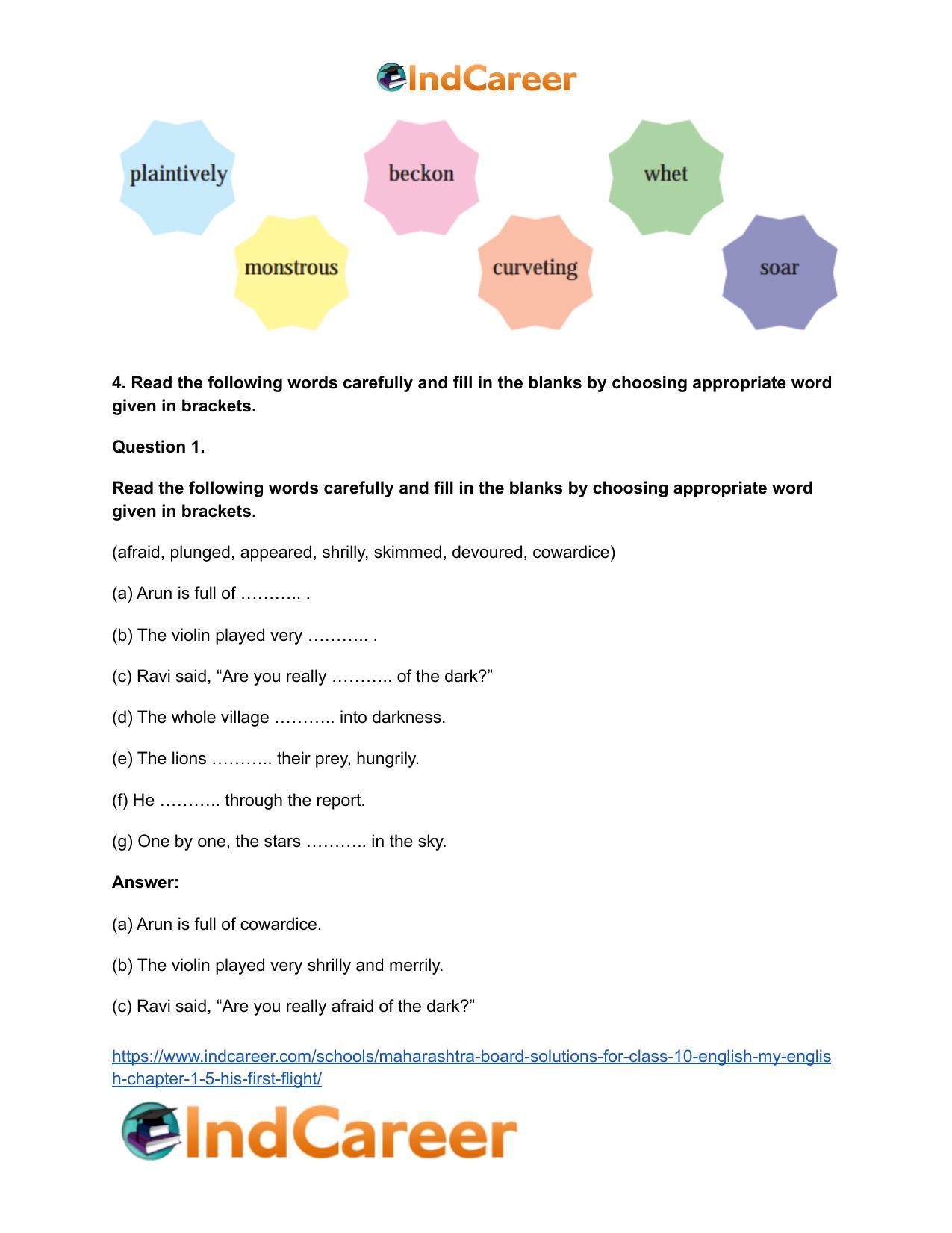 Maharashtra Board Solutions for Class 10- English (My English): Chapter 1.5- His First Flight - Page 7