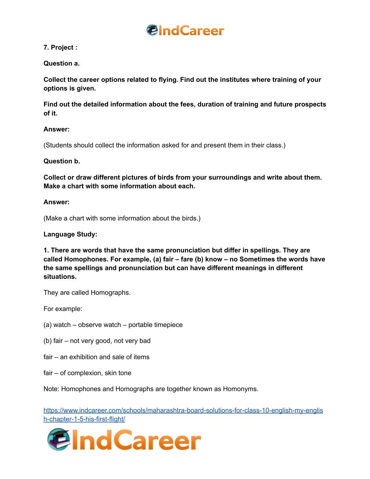 Maharashtra Board Solutions for Class 10- English (My English): Chapter 1.5- His First Flight - Page 10
