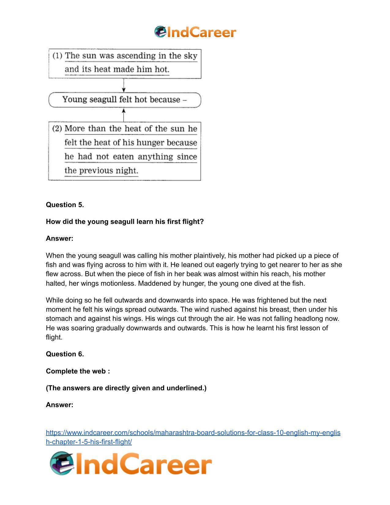 Maharashtra Board Solutions for Class 10- English (My English): Chapter 1.5- His First Flight - Page 20