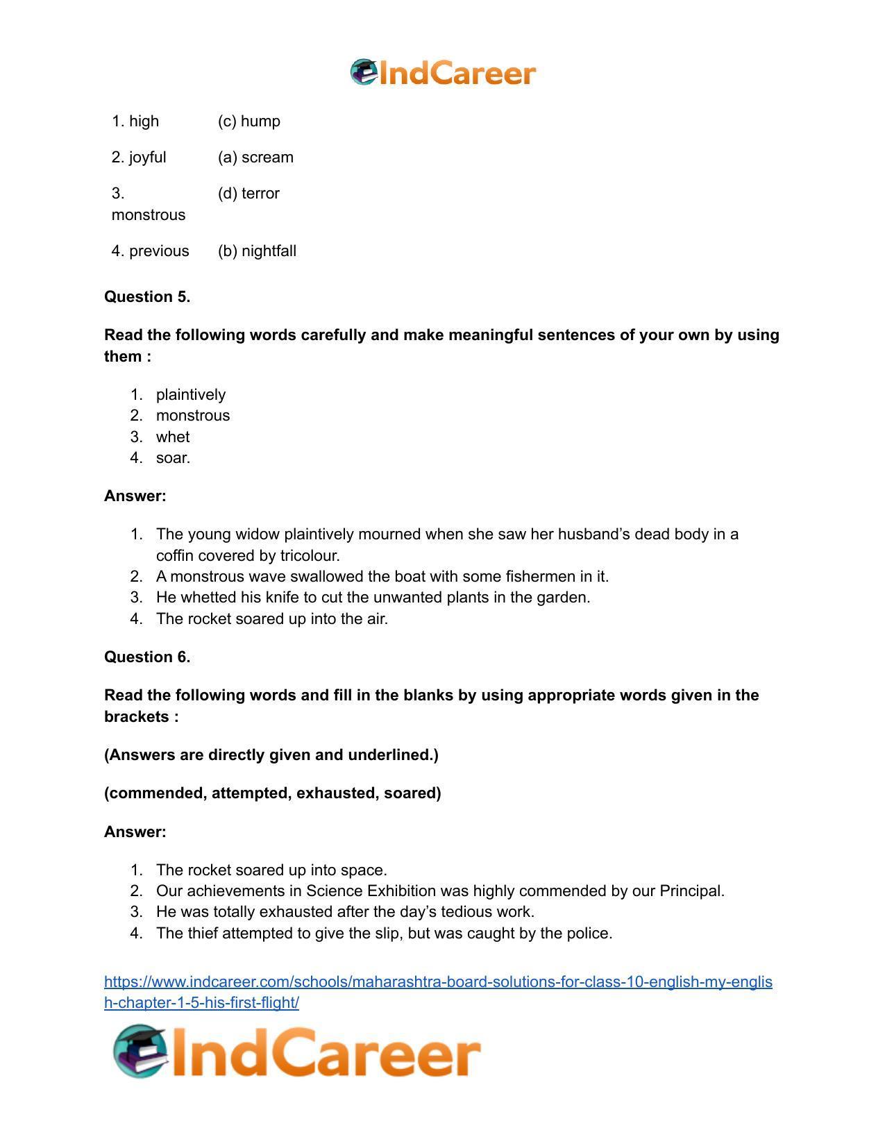 Maharashtra Board Solutions for Class 10- English (My English): Chapter 1.5- His First Flight - Page 24