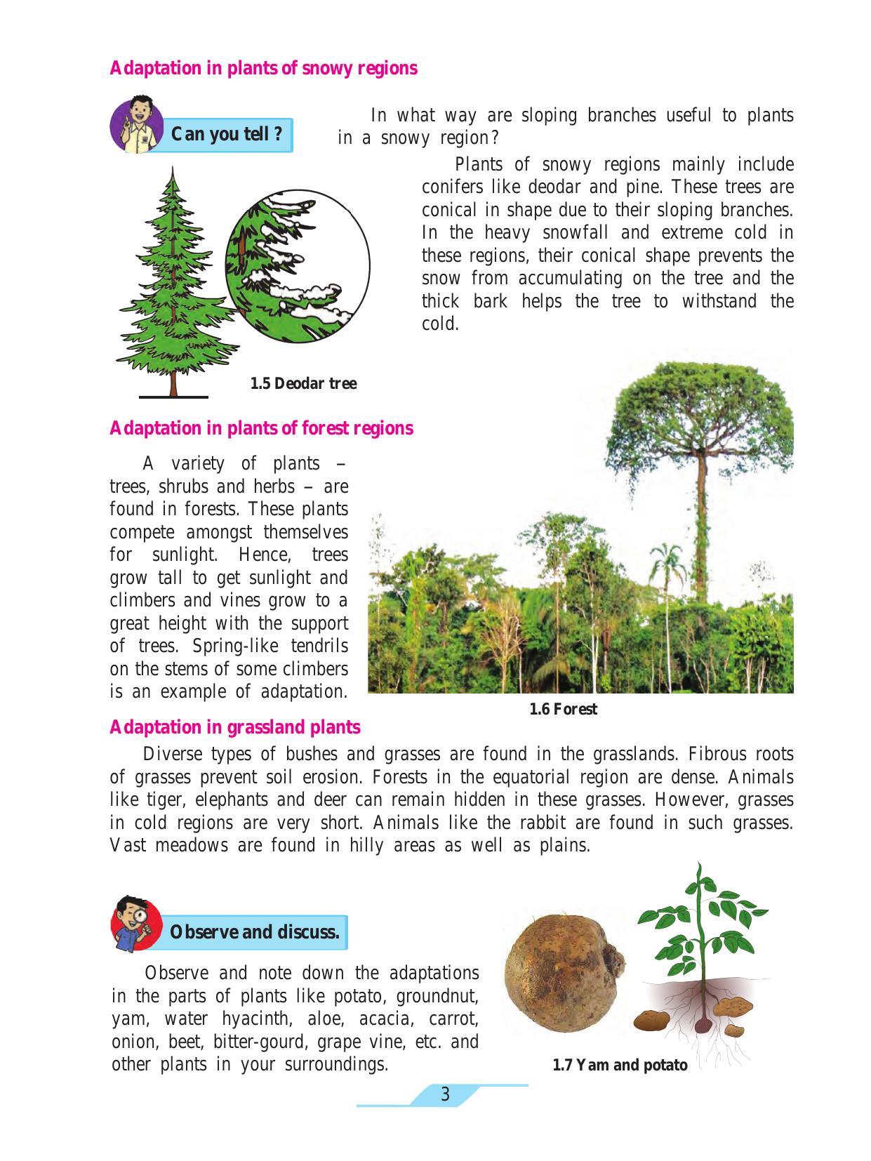 Maharashtra Board Class 7 Science Textbook - Page 13