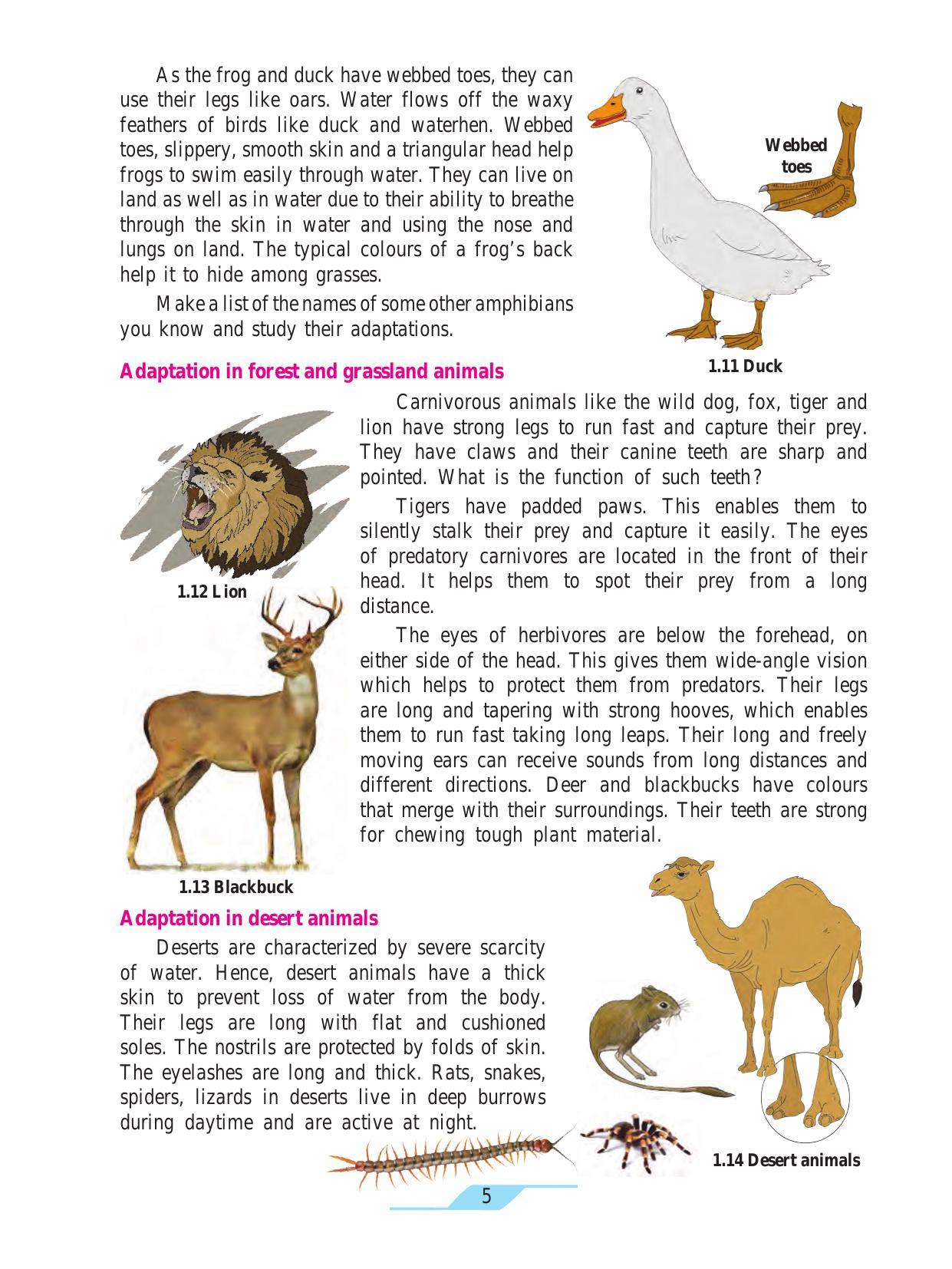 Maharashtra Board Class 7 Science Textbook - Page 15
