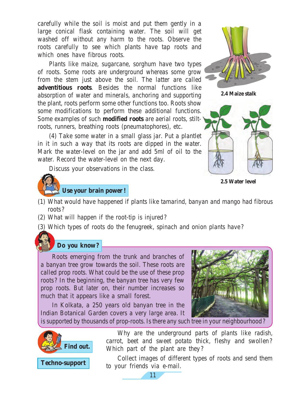 Maharashtra Board Class 7 Science Textbook - Page 21