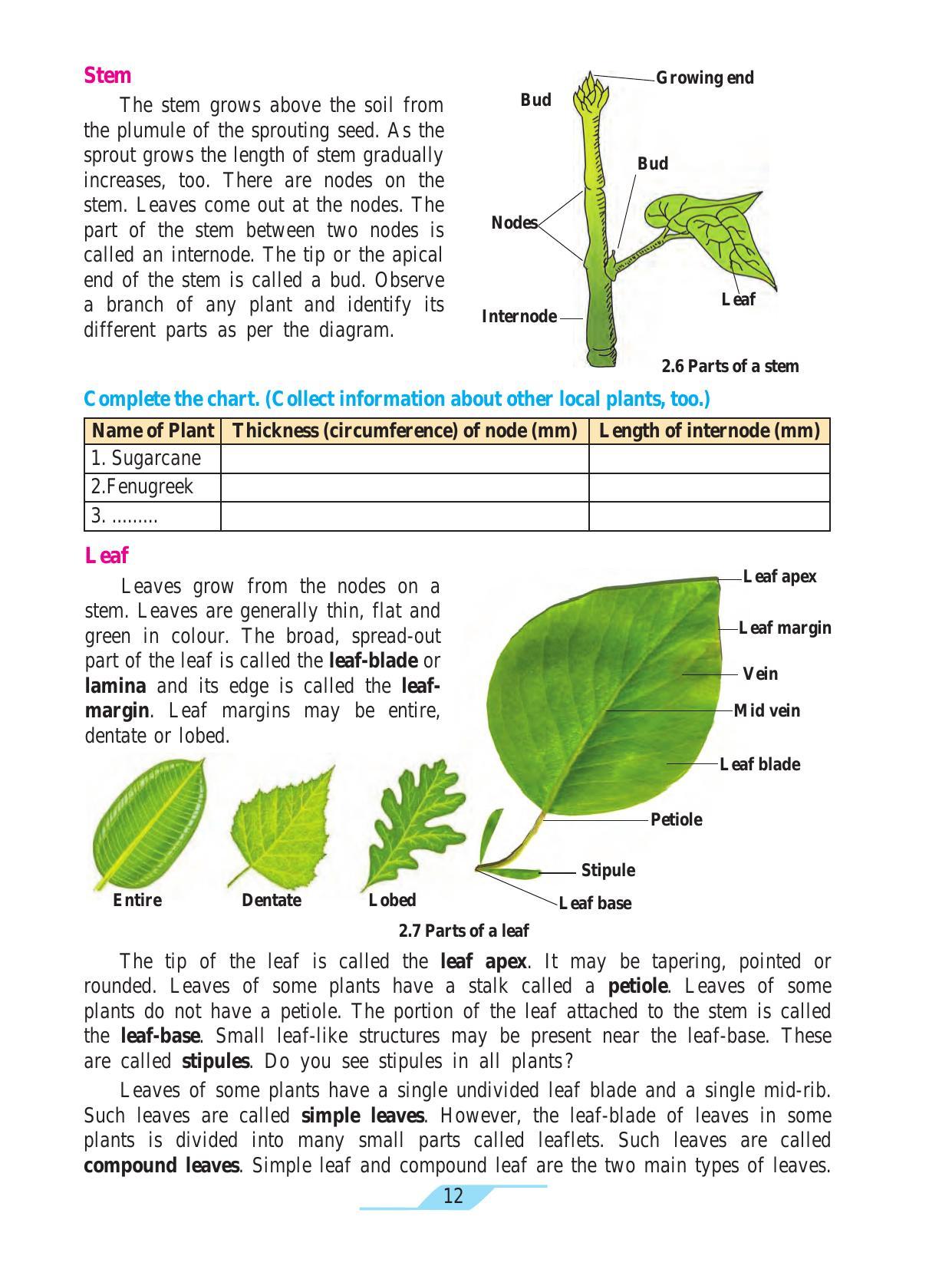 Maharashtra Board Class 7 Science Textbook - Page 22