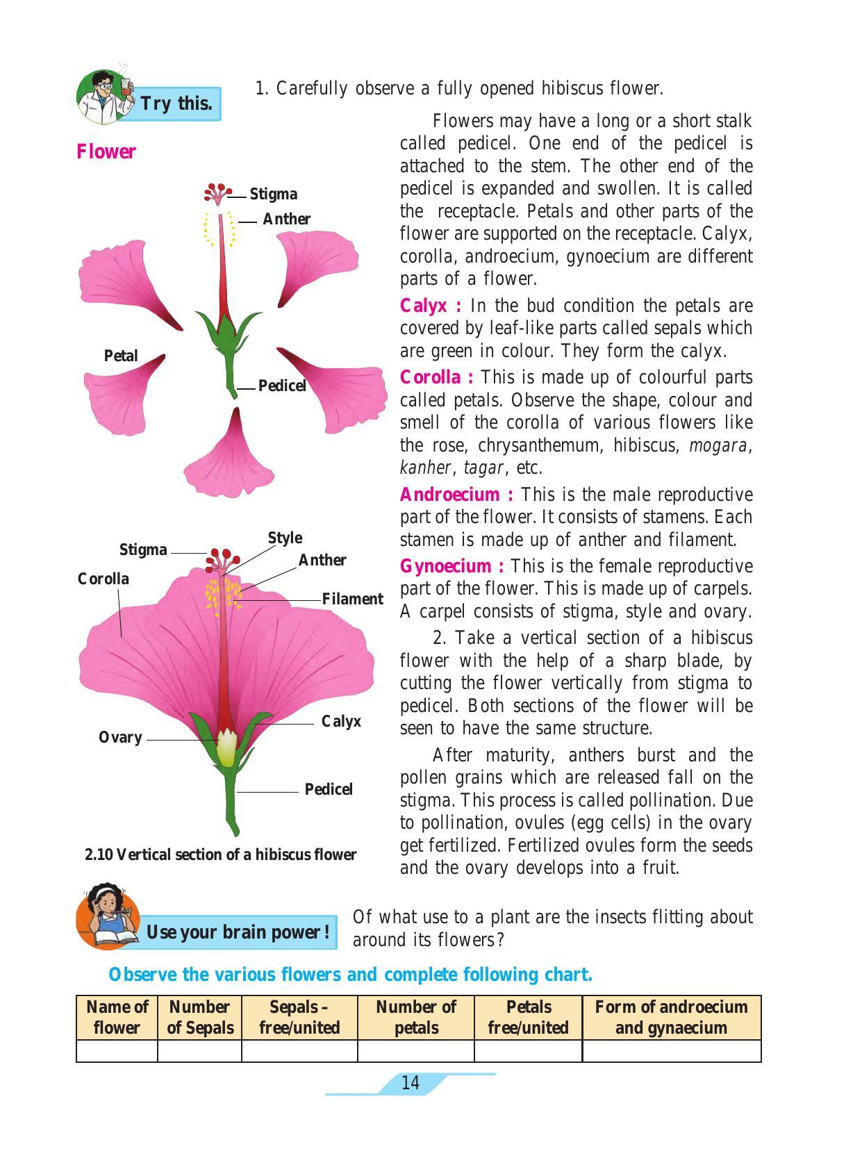 Maharashtra Board Class 7 Science Textbook - Page 24