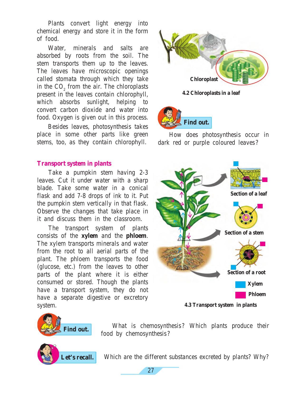 Maharashtra board class 7 science textbook indcareer docs