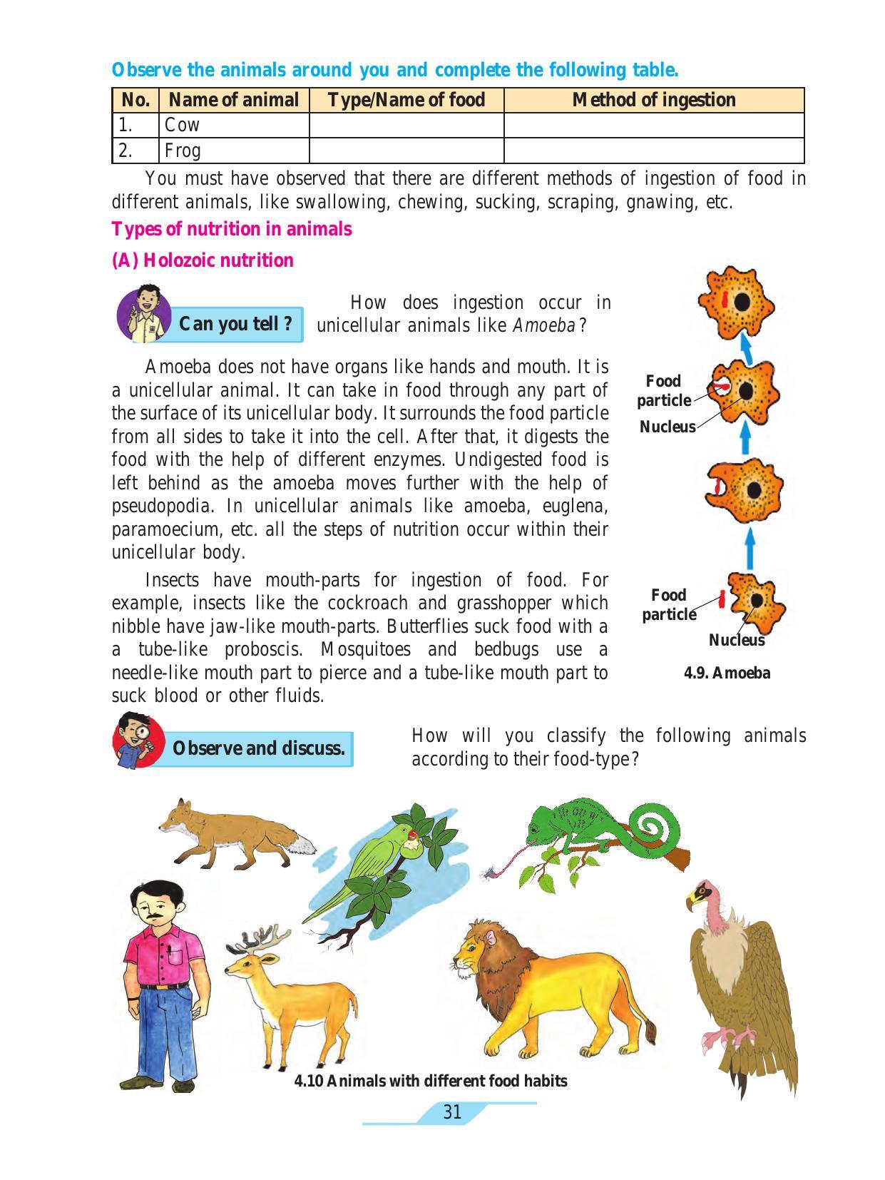 Maharashtra Board Class 7 Science Textbook - Page 41