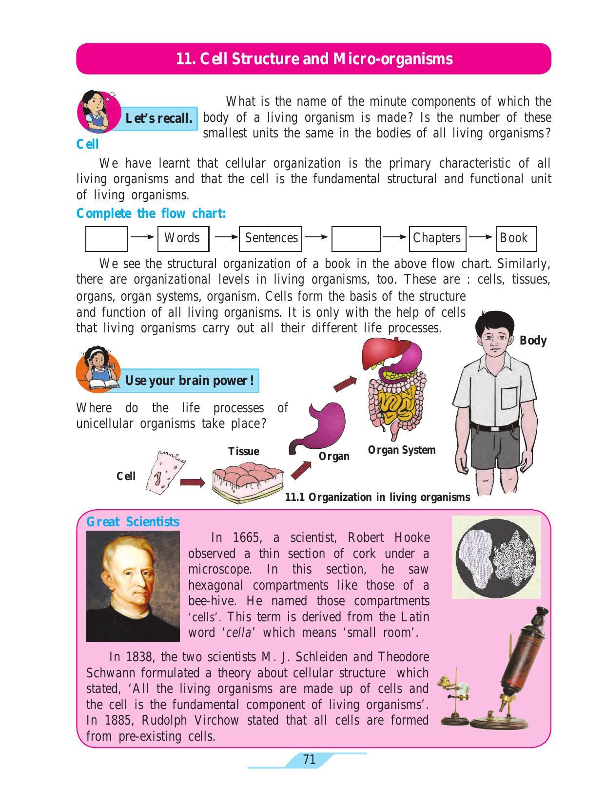 Maharashtra Board Class 7 Science Textbook - Page 81