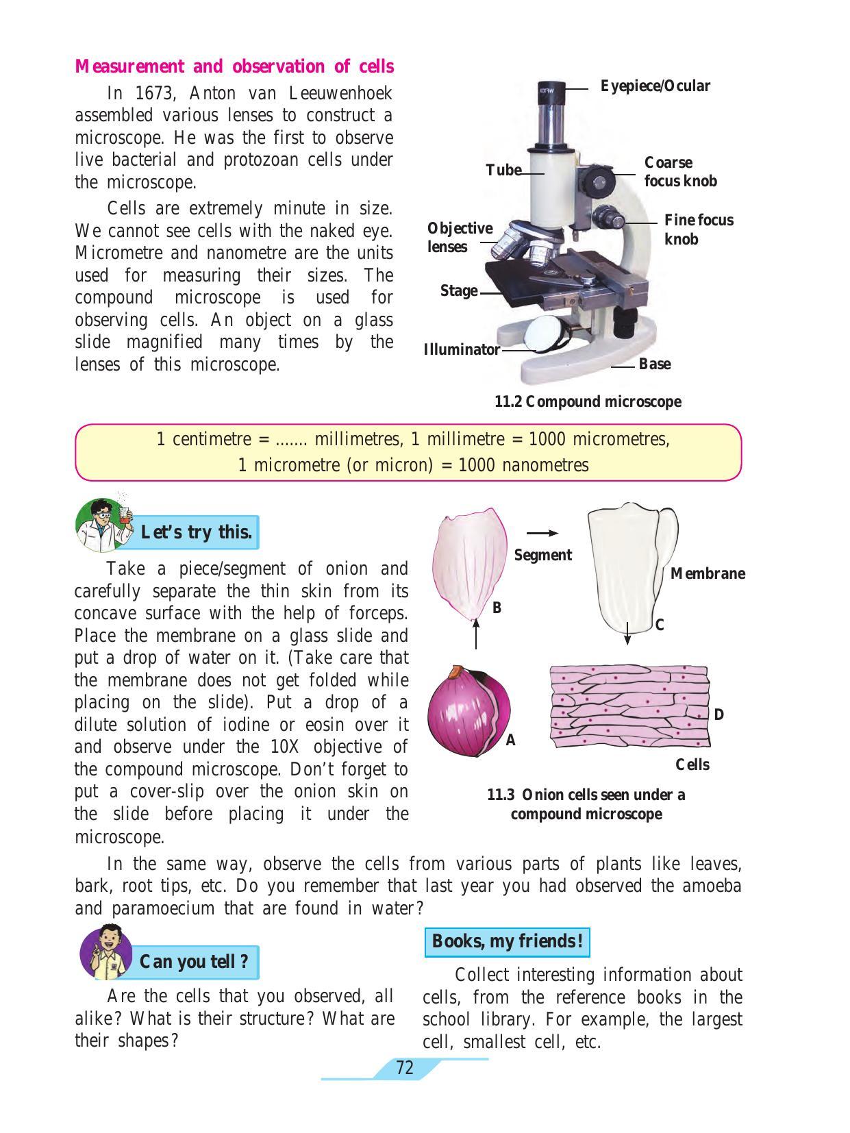 Maharashtra Board Class 7 Science Textbook - Page 82