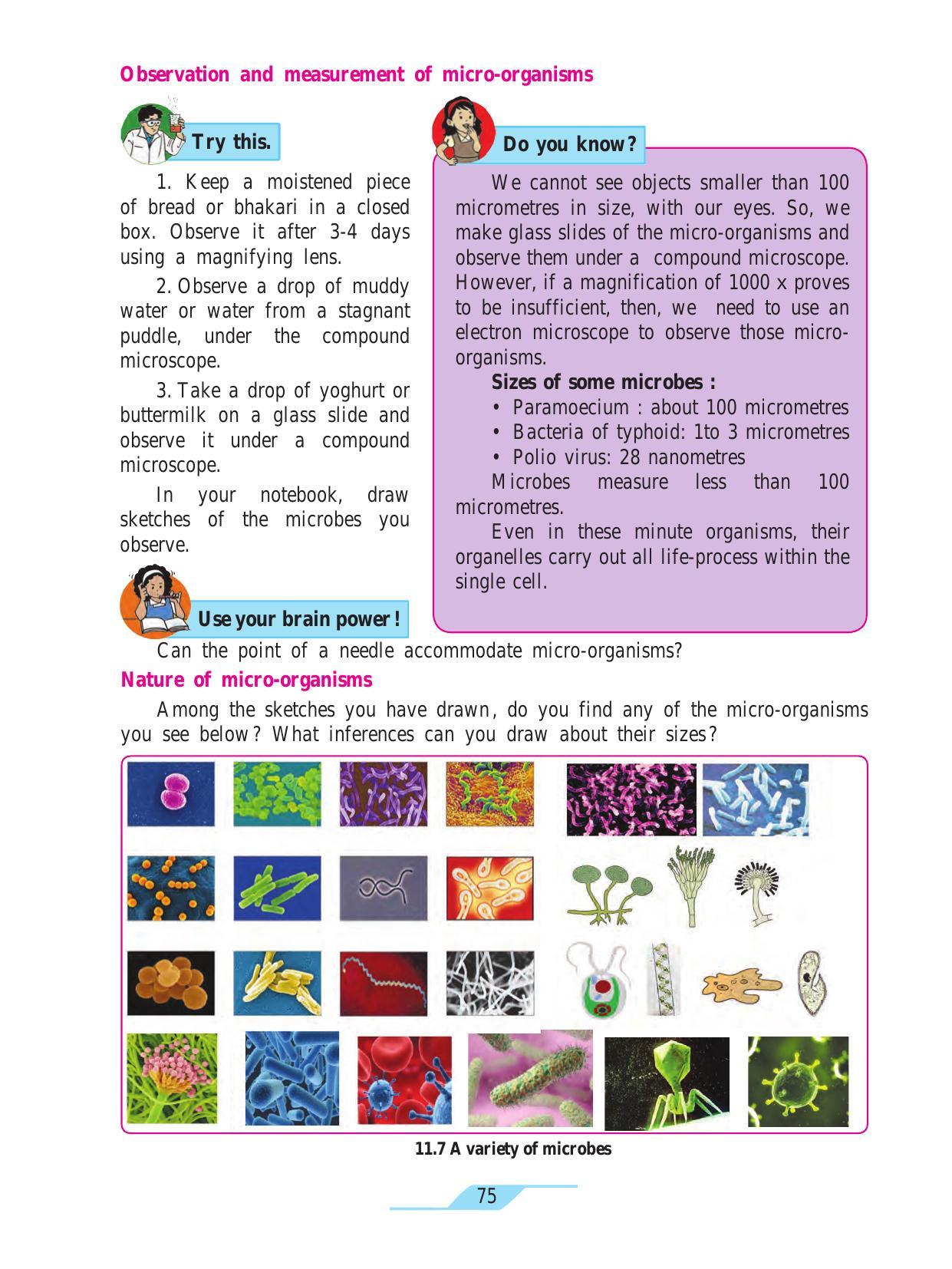 Maharashtra Board Class 7 Science Textbook - Page 85
