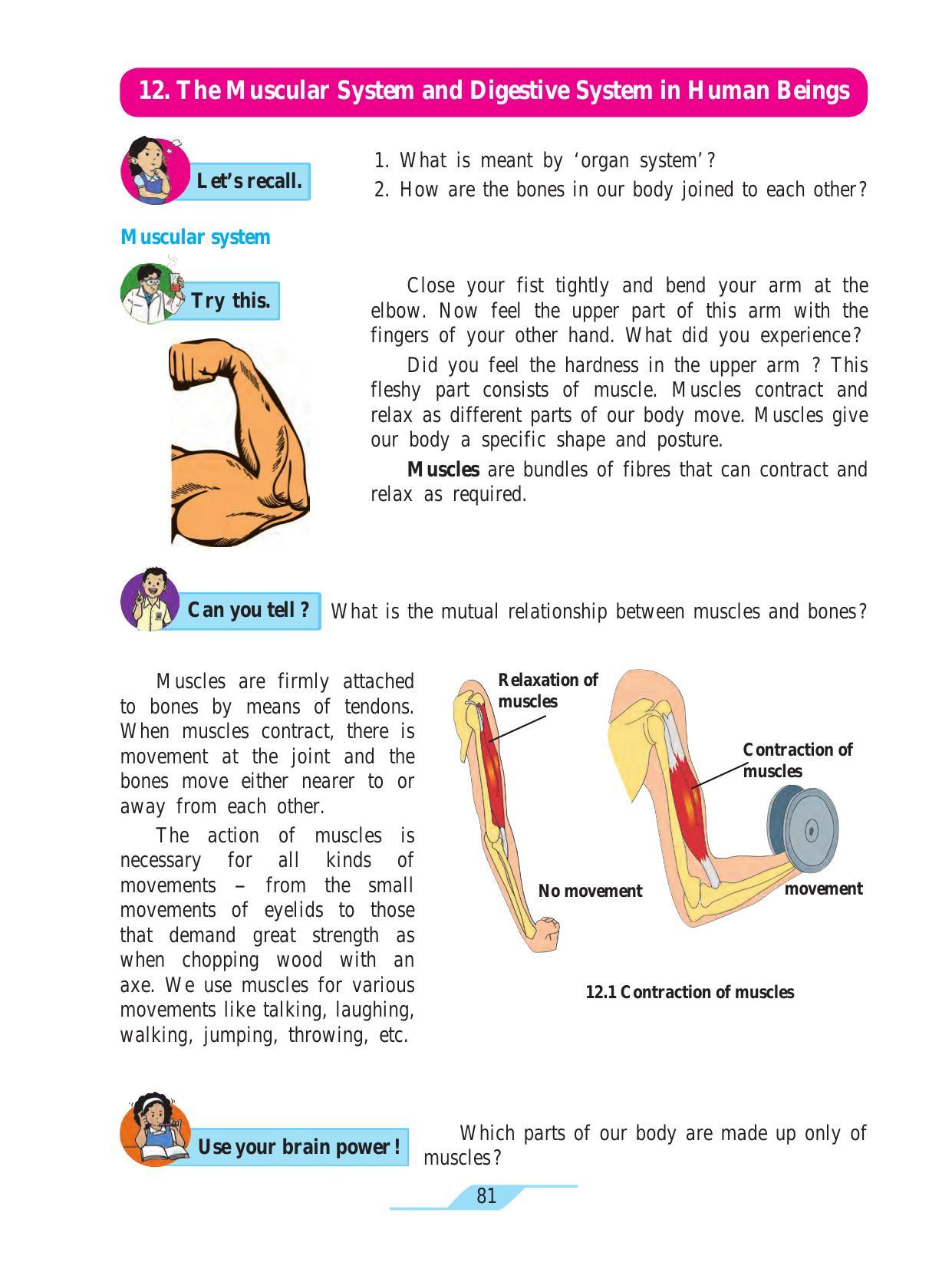 Maharashtra Board Class 7 Science Textbook - Page 91