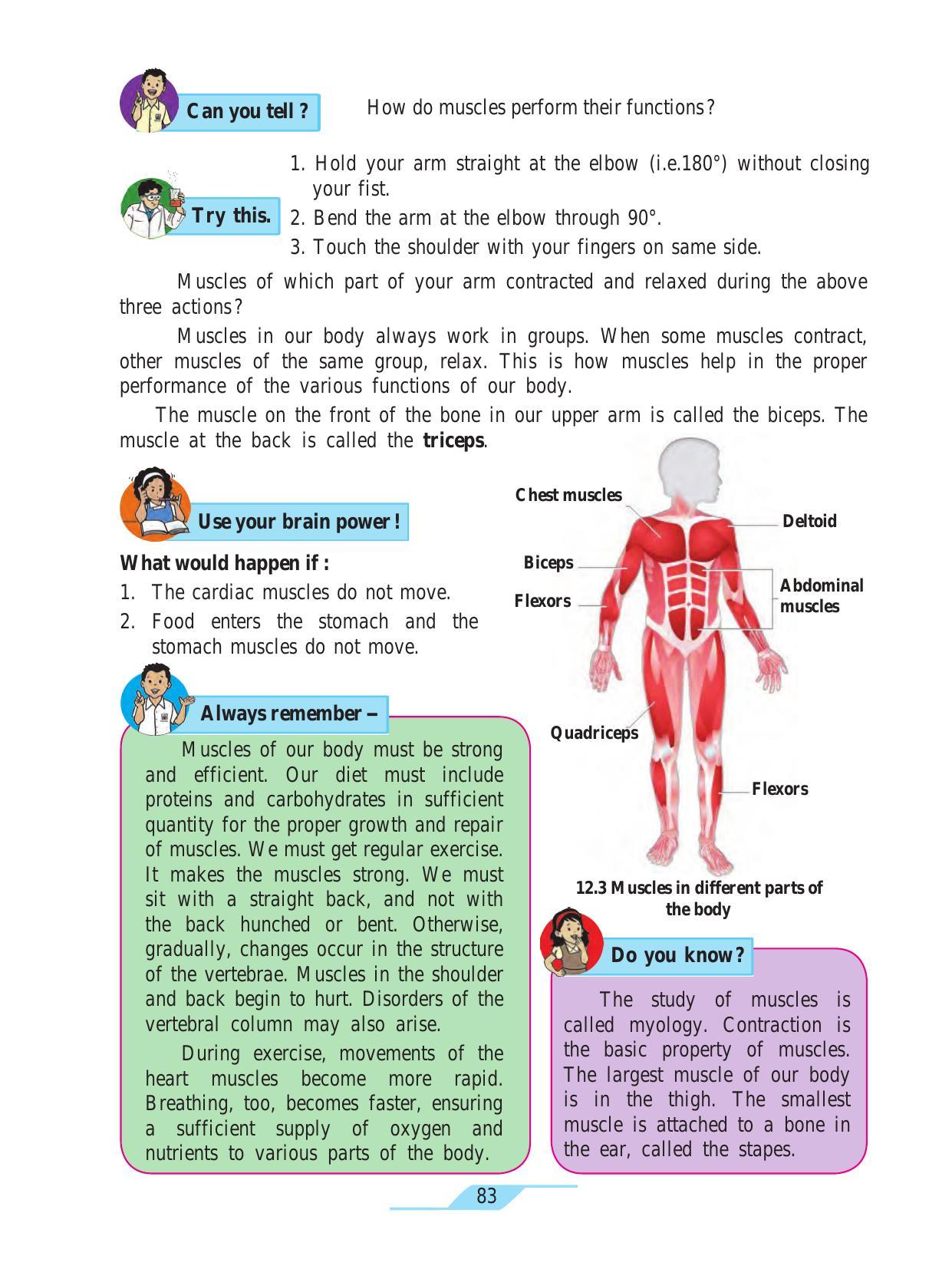 Maharashtra Board Class 7 Science Textbook - Page 93