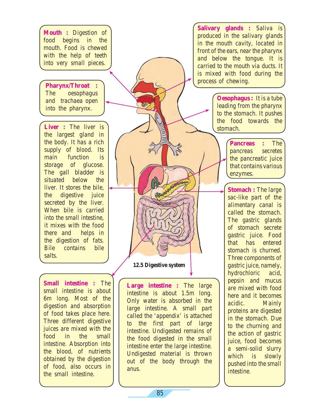 Maharashtra Board Class 7 Science Textbook - Page 95