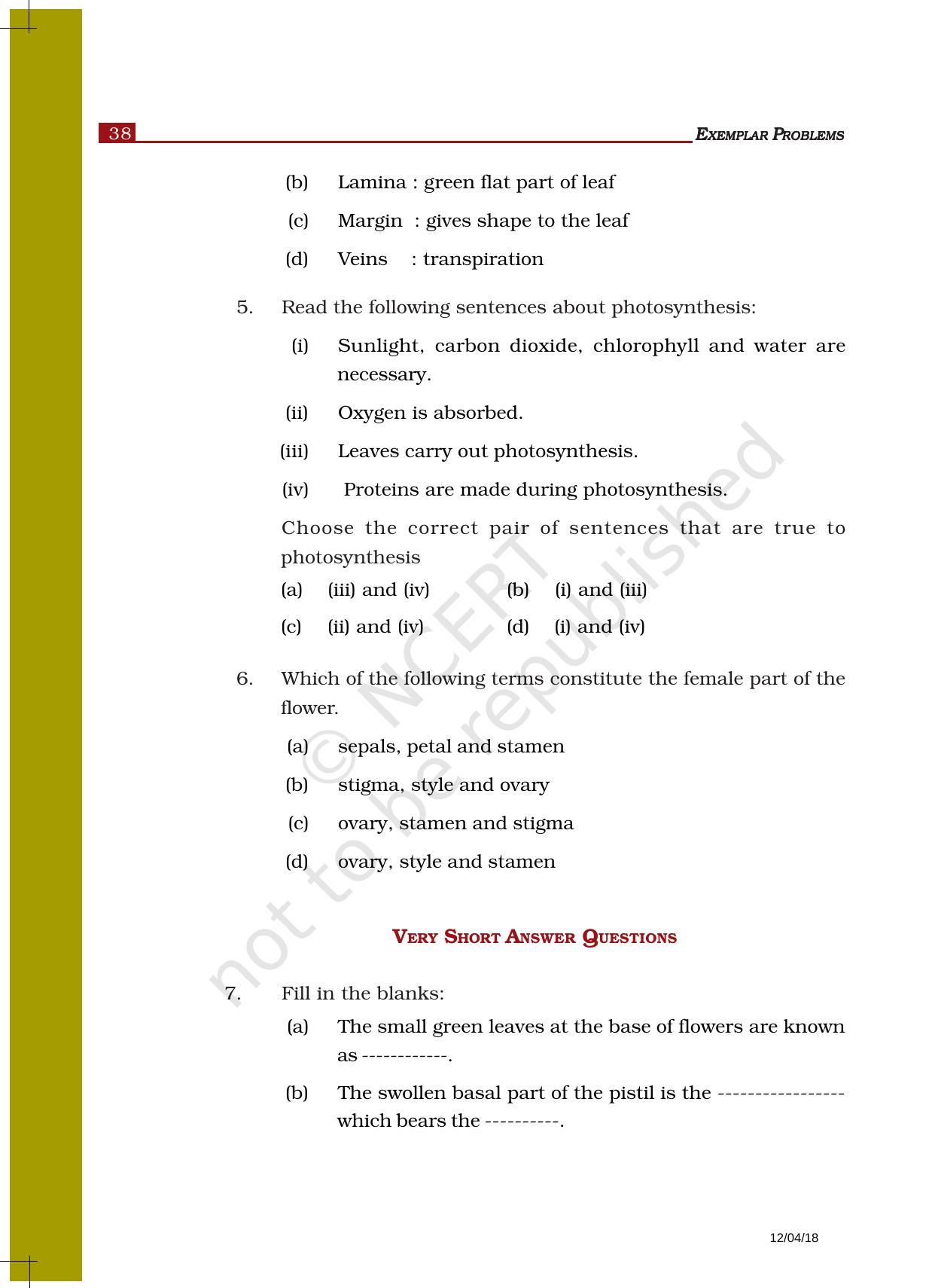NCERT Exemplar Book for Class 6 Science: Chapter 7-Getting to Know Plants - Page 2