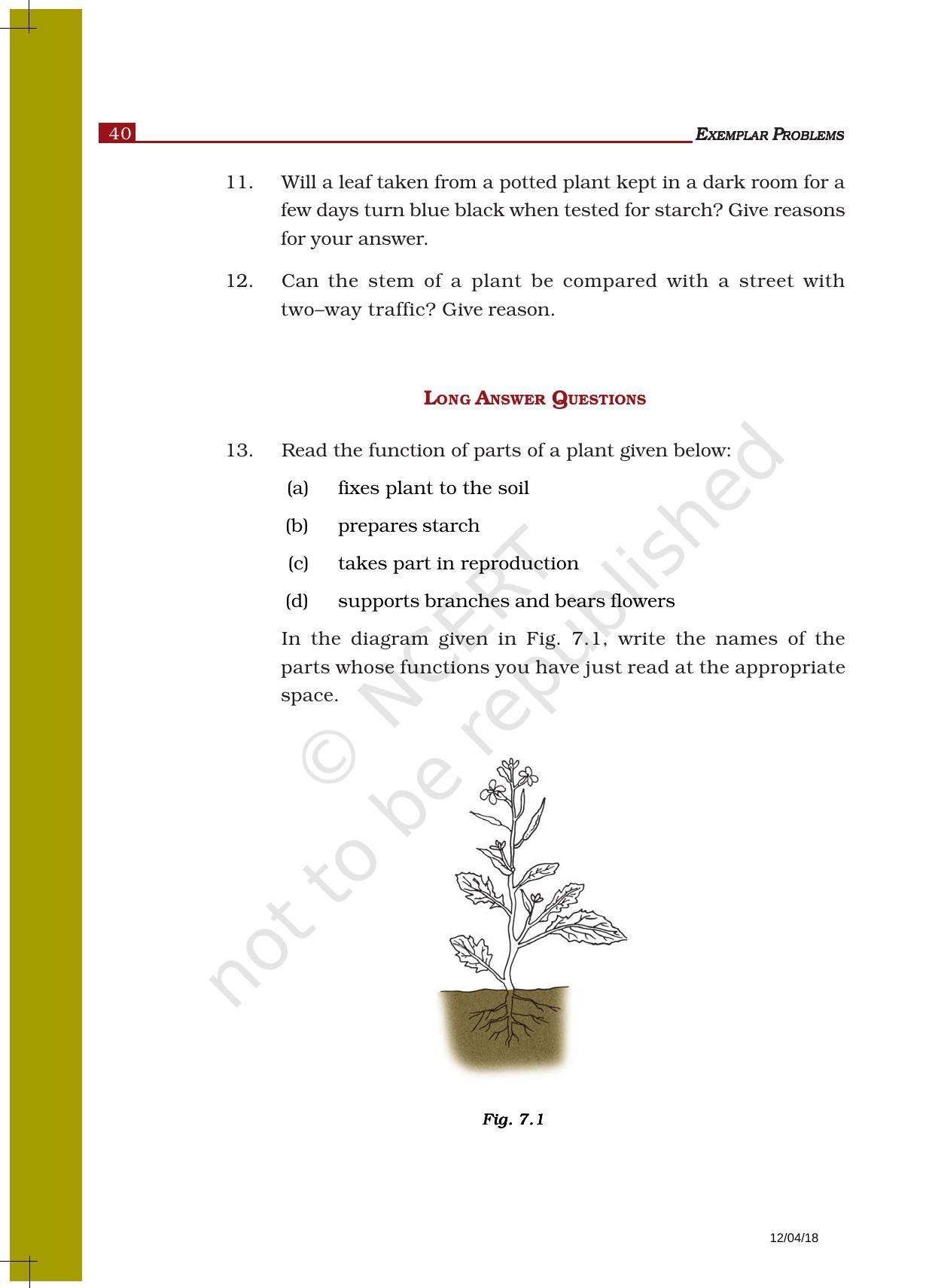 NCERT Exemplar Book for Class 6 Science: Chapter 7-Getting to Know Plants - Page 4