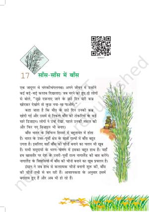 NCERT Book for Class 6 Hindi(Vasant Bhag 1) : Chapter 17-साँस – साँस में बांस