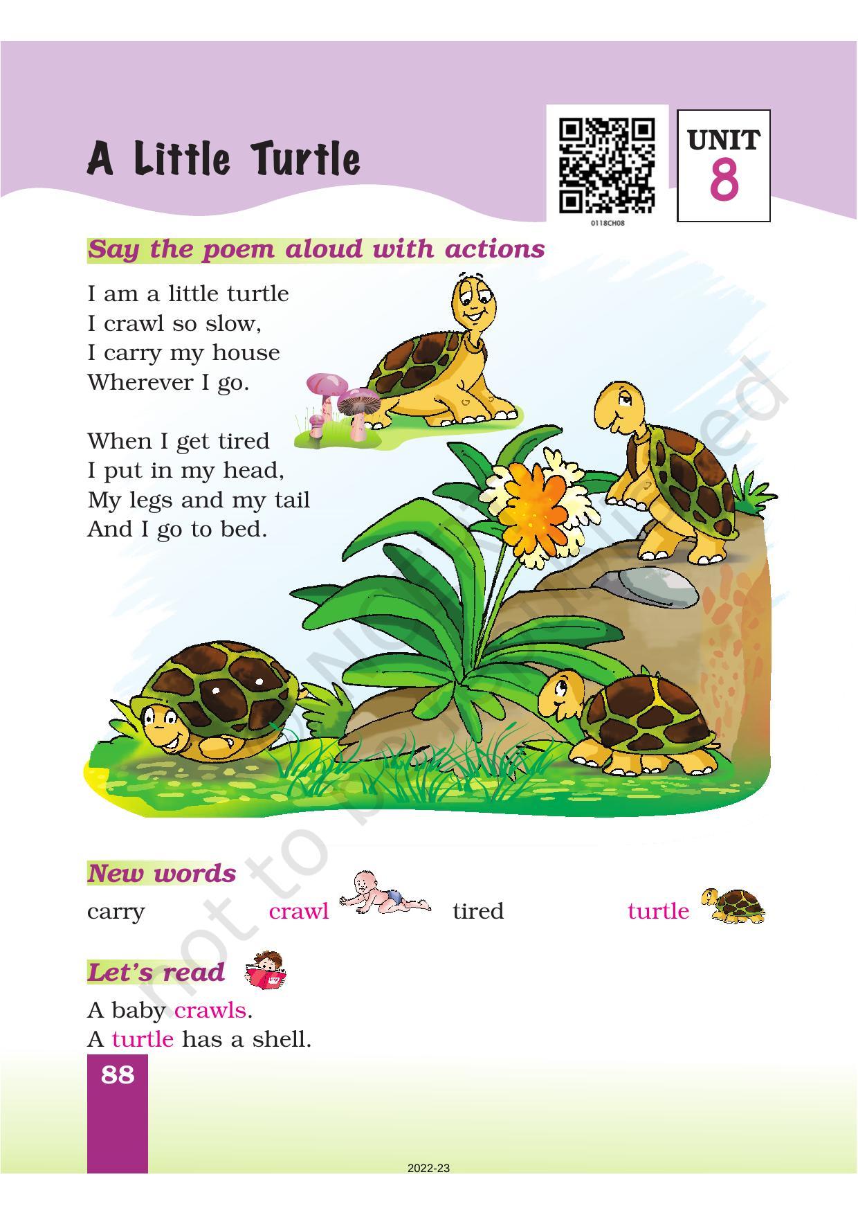 NCERT Book for Class 1 English (Marigold):Unit 8 Poem-A Little Turtle - Page 1