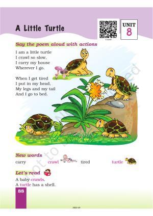 NCERT Book for Class 1 English (Marigold):Unit 8 Poem-A Little Turtle