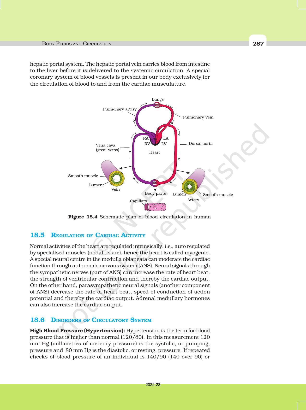 NCERT Book for Class 11 Biology Chapter 18 Body Fluids and Circulation - Page 10