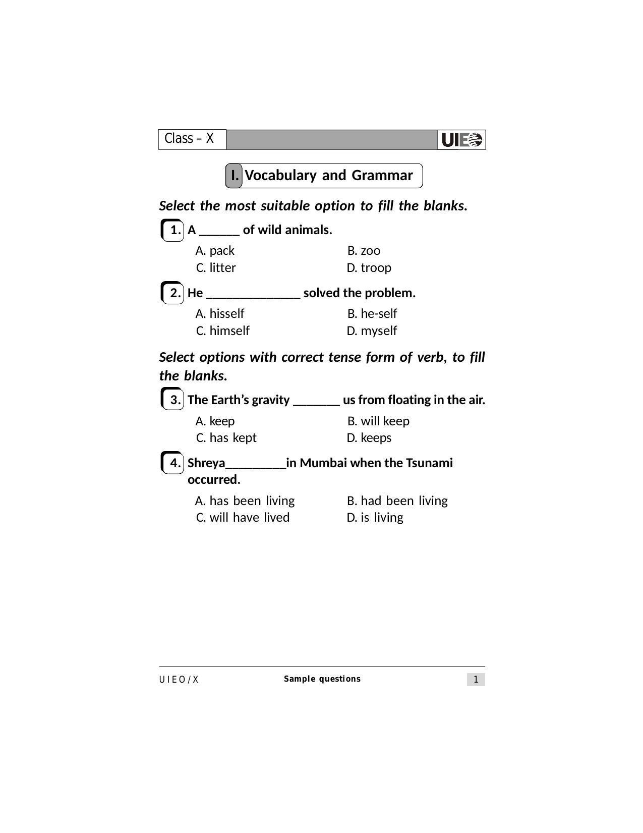 UIEO Sample Paper for Class 10 - Page 1