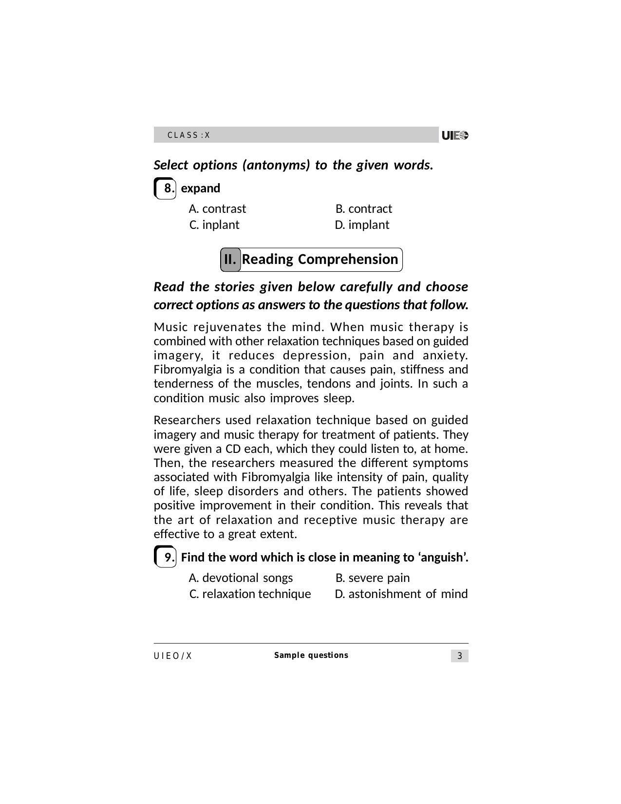 UIEO Sample Paper for Class 10 - Page 3
