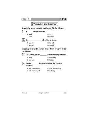 UIEO Sample Paper for Class 10