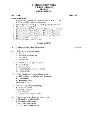 CBSE Class 10 Mizo Sample Paper 2025