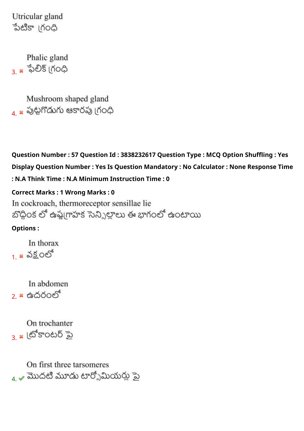 TS EAPCET 2024 Question Paper Agriculture and Pharmacy 08 May Shift 1 With Answer Key - Page 45