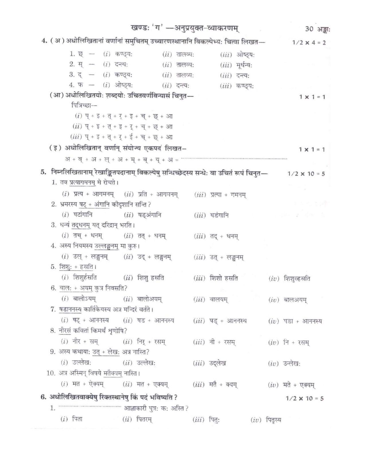 CBSE Worksheets for Class 9 Sanskrit Assignment 13 - Page 3