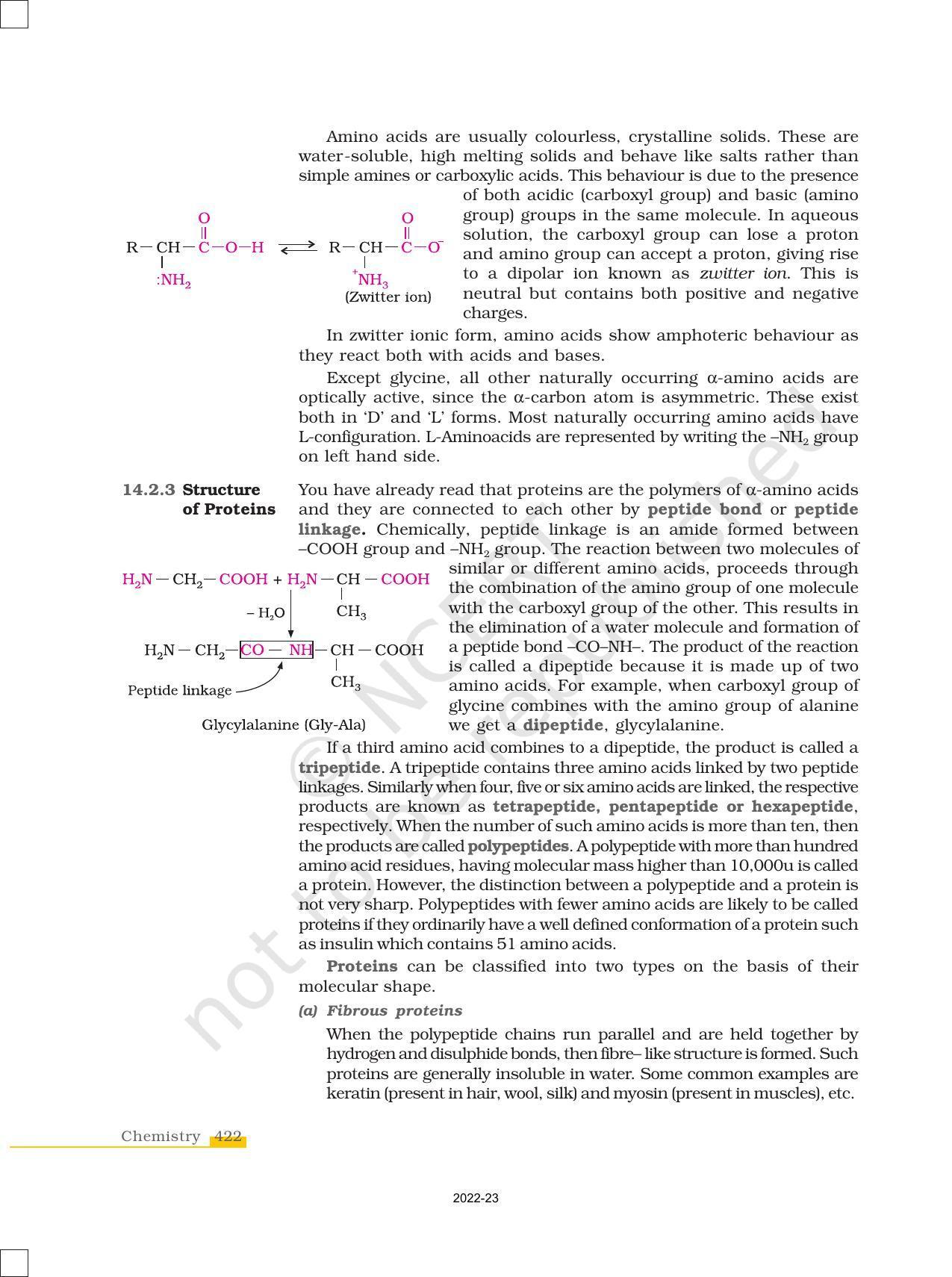 NCERT Book for Class 12 Chemistry Chapter 14 Biomolecules - Page 12