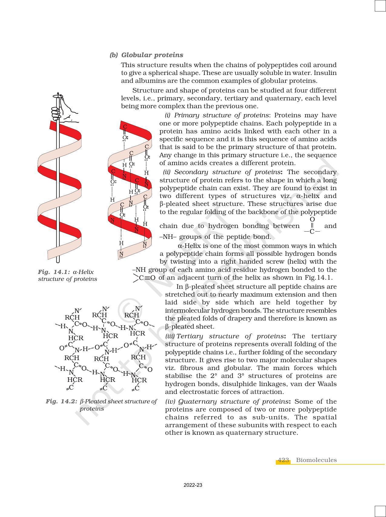 NCERT Book for Class 12 Chemistry Chapter 14 Biomolecules - Page 13