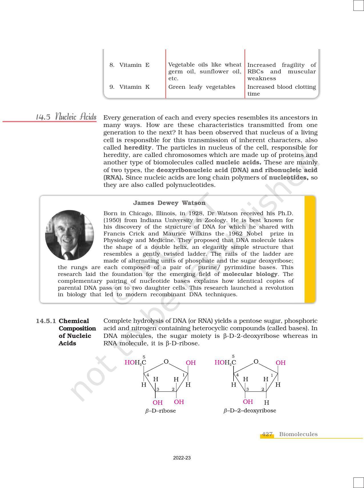 NCERT Book for Class 12 Chemistry Chapter 14 Biomolecules - Page 17