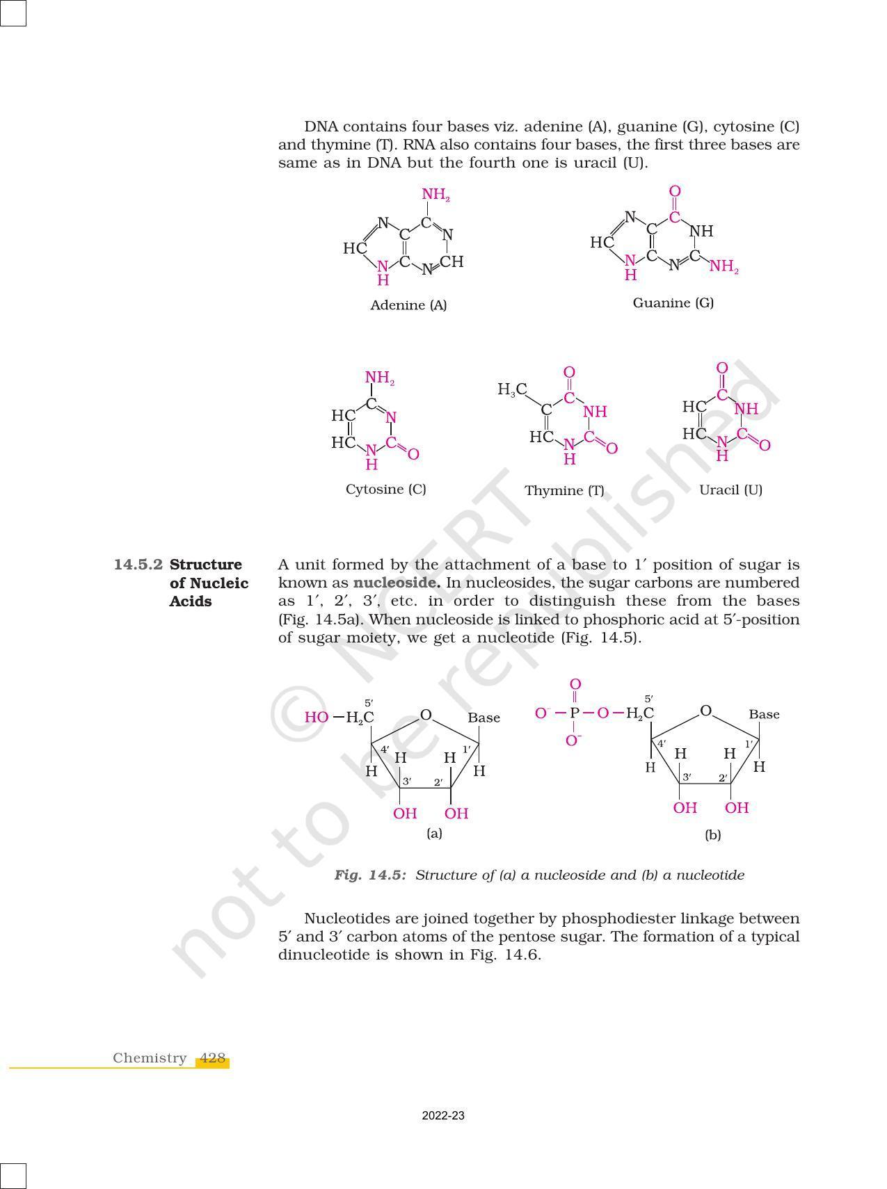 NCERT Book for Class 12 Chemistry Chapter 14 Biomolecules - Page 18