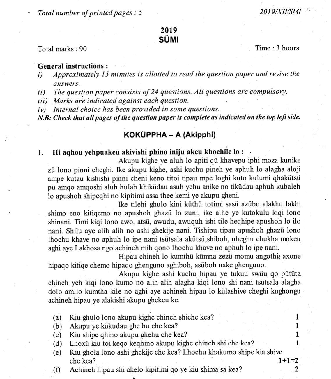 Nagaland Board Class 12 Sumi 2019 Question Papers - Page 1