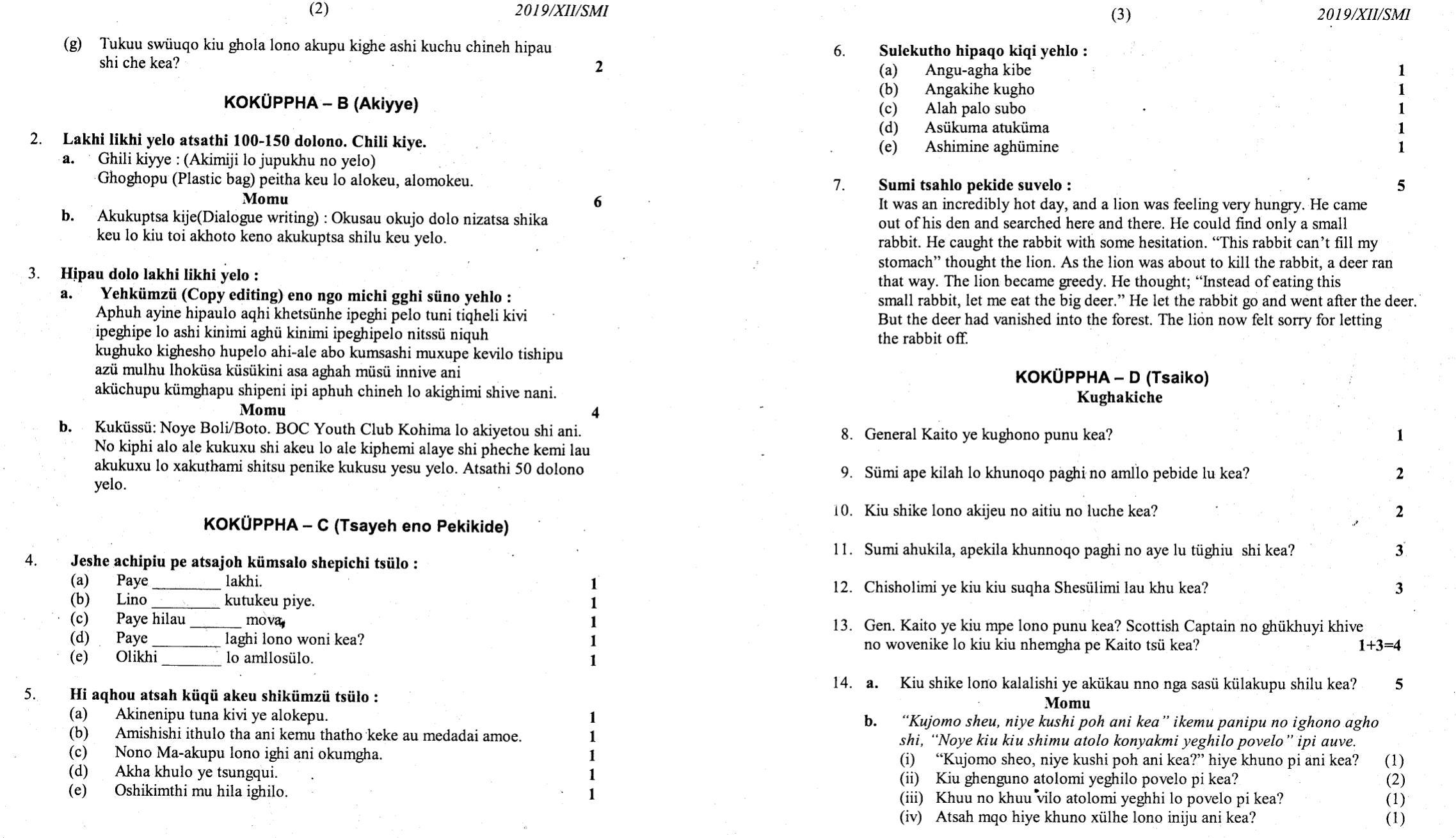 Nagaland Board Class 12 Sumi 2019 Question Papers - Page 2