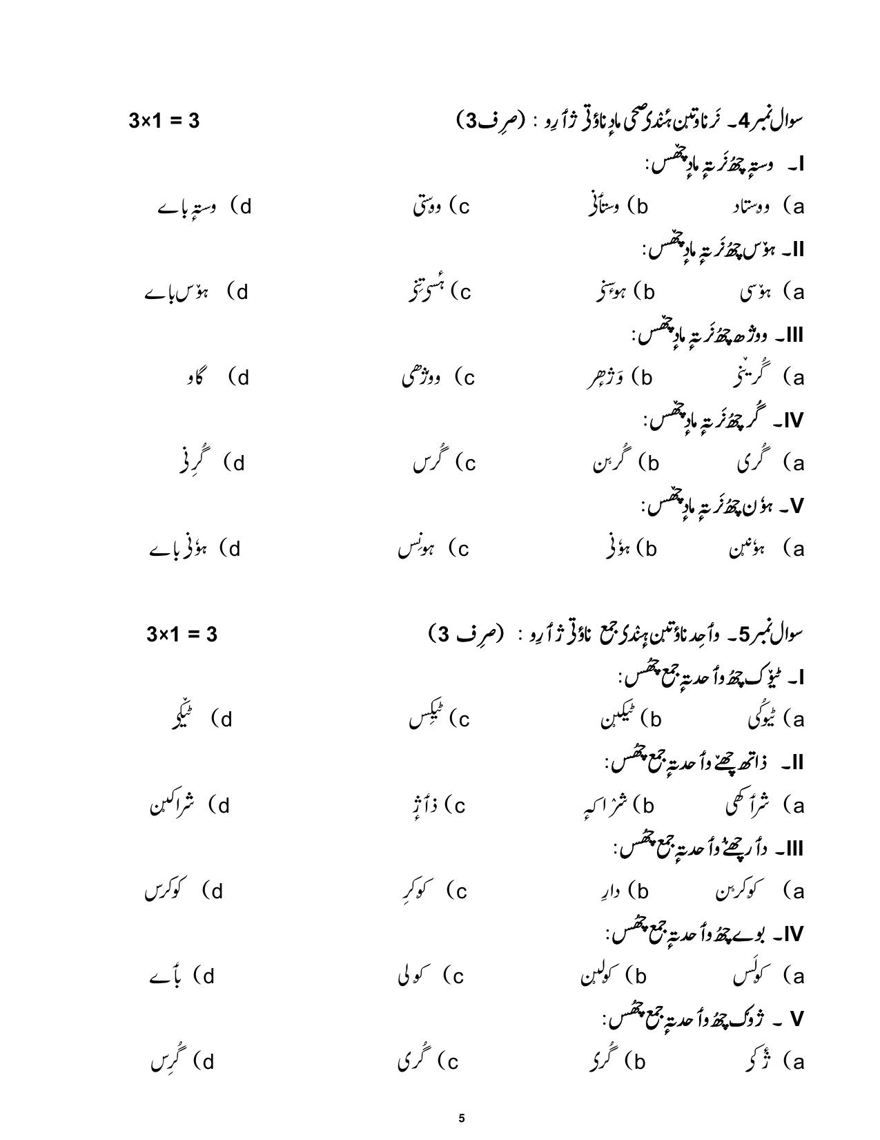 CBSE Class 10 Kashmiri Sample Paper 2025 - Page 5