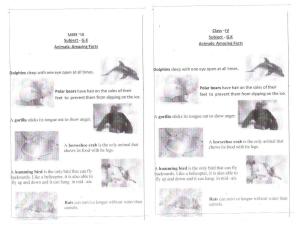 Worksheet for Class 4 General Knowledge Animals Amazing Fads Assignment 2