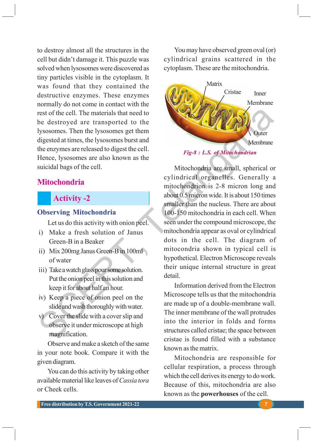 TS SCERT Class 9 Biological Science (English Medium) Text Book - Page 19