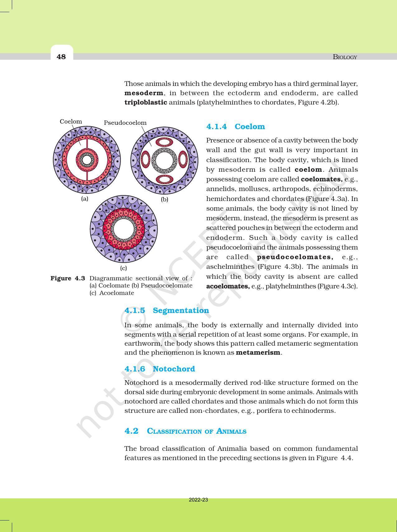 NCERT Book for Class 11 Biology Chapter 4 Animal Kingdom - Page 3